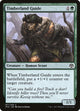 Timberland Guide (187) (Iconic Masters)