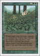 Kudzu (Revised Edition)