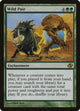 [Foil] Wild Pair (144) (Planar Chaos)