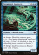 Streambed Aquitects (18) (Merfolk vs. Goblins)