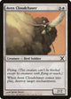 Aven Cloudchaser (7) (10th Edition)