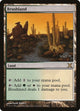 [Foil] Brushland (349) (10th Edition)