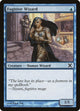 Fugitive Wizard (86) (10th Edition)