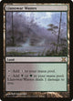 Llanowar Wastes (355) (10th Edition)
