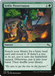 Selfie Preservation (119) (Unstable)