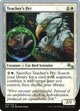 [Foil] Teacher's Pet (25) (Unstable)
