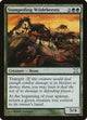 [Foil] Stampeding Wildebeests (300) (10th Edition)