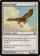 Suntail Hawk (50) (10th Edition)