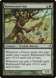 [Foil] Battlewand Oak (197) (Lorwyn)