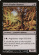 Black Poplar Shaman (99) (Lorwyn)