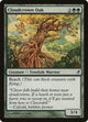 Cloudcrown Oak (201) (Lorwyn)