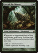[Foil] Eyes of the Wisent (210) (Lorwyn)