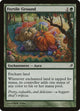 [Foil] Fertile Ground (211) (Lorwyn)