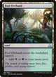 Foul Orchard (188) (Rivals of Ixalan)