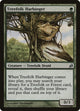 Treefolk Harbinger (239) (Lorwyn)