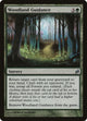 [Foil] Woodland Guidance (243) (Lorwyn)