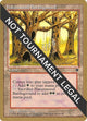 Havenwood Battleground - 1996 Mark Justice (FEM) (World Championship Decks)