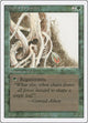 Wall of Brambles (Revised Edition)
