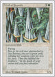 Wall of Swords (Revised Edition)