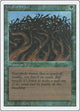 Wall of Wood (Revised Edition)