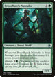 Broodhatch Nantuko (162) (Masters 25)