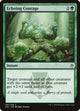 Echoing Courage (166) (Masters 25)