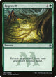 Regrowth (187) (Masters 25)