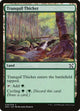 Tranquil Thicket (29) (Elves vs. Inventors)