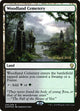 [Foil] Woodland Cemetery (248) (Prerelease Cards)