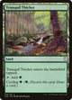 Tranquil Thicket (274) (Commander Anthology Volume II)