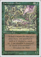 Carnivorous Plant (Fourth Edition)
