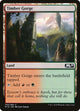[Foil] Timber Gorge (258) (Core Set 2019)