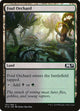 [Foil] Foul Orchard (251) (Core Set 2019)