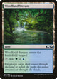 [Foil] Woodland Stream (260) (Core Set 2019)