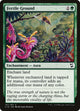 Fertile Ground (147) (Commander 2018)