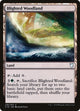 Blighted Woodland (236) (Commander 2018)