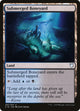 Submerged Boneyard (283) (Commander 2018)