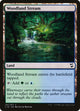 Woodland Stream (292) (Commander 2018)