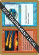 Fire // Ice - 2002 Sim Han How (APC) (World Championship Decks)