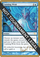 Cunning Wish - 2003 Daniel Zink (JUD) (World Championship Decks)
