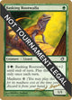 Basking Rootwalla - 2003 Dave Humpherys (TOR) (World Championship Decks)