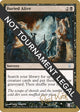 Buried Alive - 2003 Peer Kroger (ODY) (SB) (World Championship Decks)