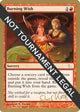 Burning Wish - 2003 Peer Kroger (JUD) (World Championship Decks)