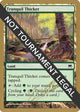 Tranquil Thicket - 2004 Julien Nuijten (ONS) (World Championship Decks)