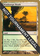 Windswept Heath - 2004 Julien Nuijten (ONS) (World Championship Decks)
