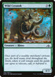 Wild Ceratok (150) (Guilds of Ravnica)