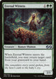 Eternal Witness (163) (Ultimate Masters)