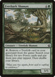 Everbark Shaman (121) (Morningtide)
