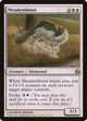 Meadowboon (17) (Morningtide)