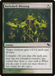 Barkshell Blessing (224) (Shadowmoor)